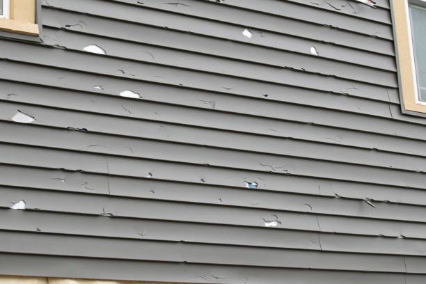 Reliable Lockney, TX Siding Installation & Repair Solutions